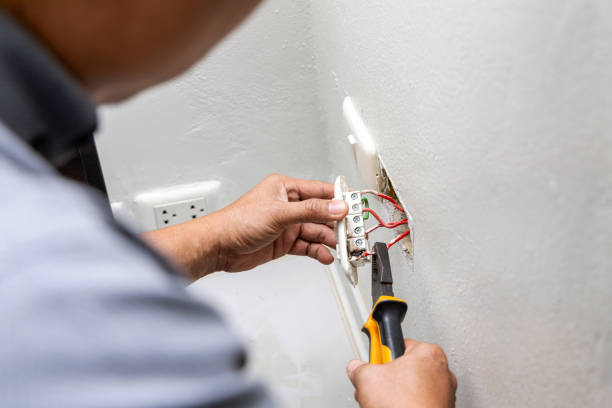 Best Home Electrical Repair  in Newport, MN